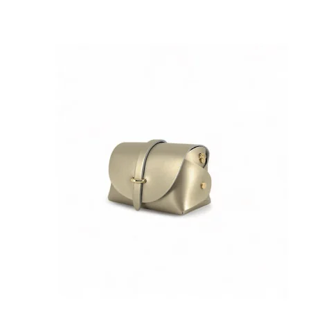Mini sac à main en cuir glacé pur vachette avec bandoulière couleur or